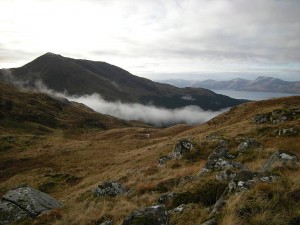 2009-11-08fraochaidh