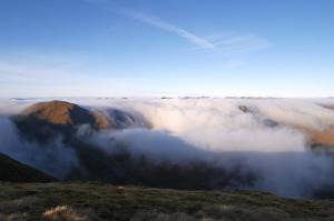 2014-11-30inversion