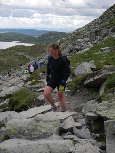 2015-08-01gaustatoppen1